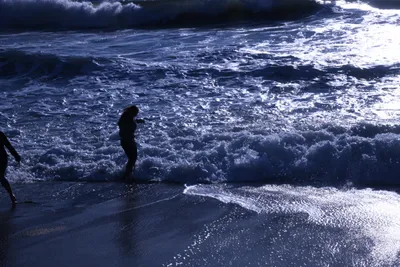 DSC_0449 (Large).JPG